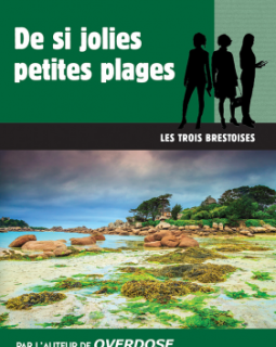 De si jolies petites plages - Pierre Pouchairet