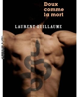 L'interrogatoire de Laurent Guillaume