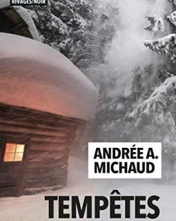 Tempêtes - Andrée A. Michaud