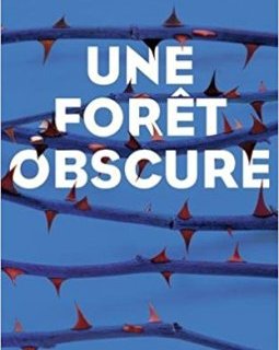 Une forêt obscure - Fabio Mitchelli