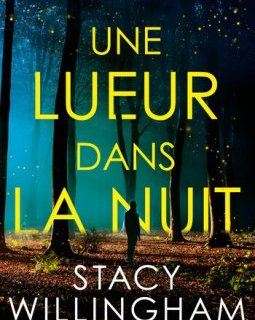 Une lueur dans la nuit - Stacy Willingham