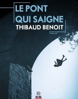 Le pont qui saigne - Thibaud Benoit