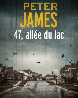47, allée du lac - Peter James