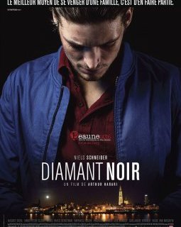 Diamant Noir - Arthur Harari