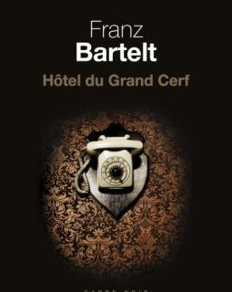 Hôtel du Grand Cerf - Franz Bartelt