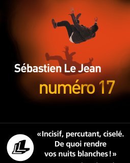Numéro 17 - Sébastien Le Jean