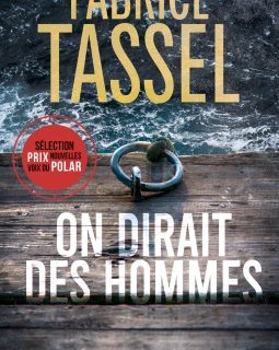 On dirait des hommes - Fabrice Tassel