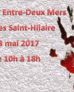 Salon Polar entre deux mers : la bande annonce