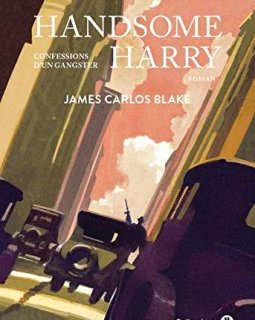 Handsome Harry : Confessions d'un gangster