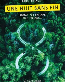 Une nuit sans fin -Éric Chavet