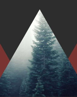 Les polars sous le sapin (en 2018)