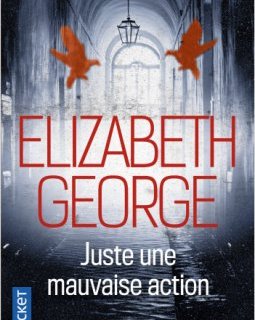Juste une mauvaise action - Elizabeth George