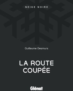 La route coupée - Guillaume Desmurs 