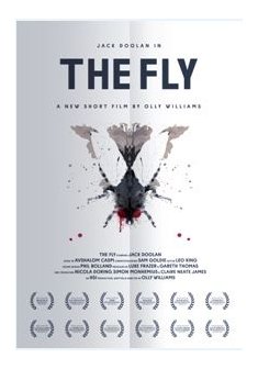 The Fly - Olly Williams