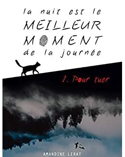 La nuit est le meilleur moment de la journée, 1. Pour tuer - Amandine Lerat