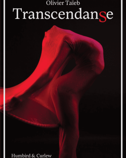 Transcendanse - Olivier Taïeb