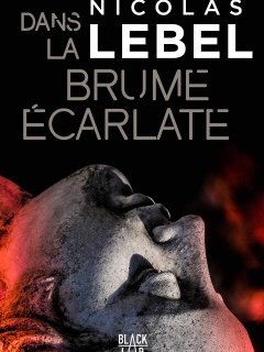 La tournée de printemps de Nicolas Lebel - Mai / juillet 2019