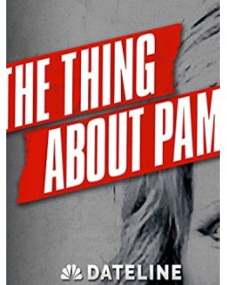 The Thing About Pam - Saison 1