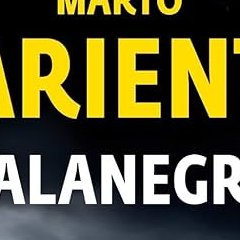 Marto Pariente lauréat du Prix des Lecteurs du 21e Festival du Polar de Villeneuve lez Avignon.