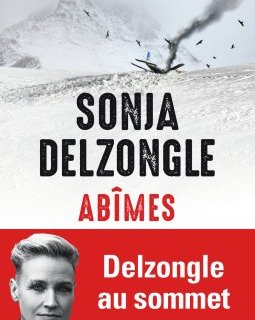 Abîmes - Sonja Delzongle