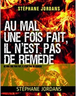 Au mal une fois fait, il n'est pas de remède - Stéphane Jordans
