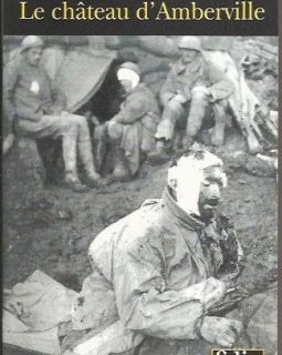 Le château d'Amberville - Thierry Bourcy