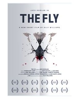 The Fly - Olly Williams