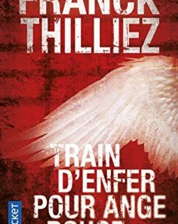 Train d'enfer pour Ange rouge - Franck Thilliez