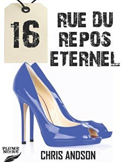 16 RUE DU REPOS ETERNEL - Chris ANDSON