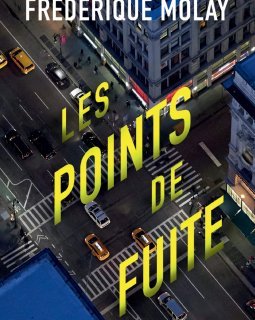Les points de fuite - Fréderique Molay