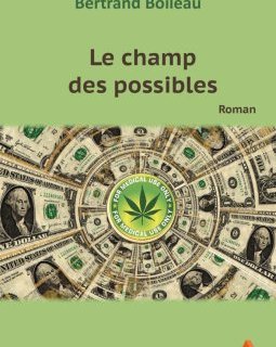 Le champ des possibles - Bertrand Boileau