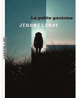 Entretien de Jérôme Leroy sur les romans jeunesse