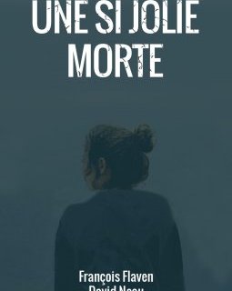 A la rencontre d'un nouvel auteur, David Neau, pour Une si Jolie Morte