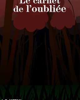 Le carnet de l'oubliée - Louis-E. Metan