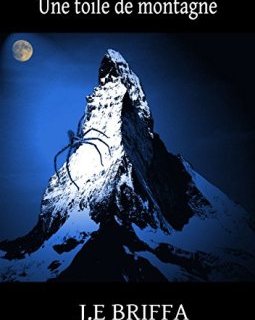 Une toile de montagne - J.E. Briffa 