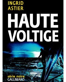 La bande annonce du polar Haute Voltige