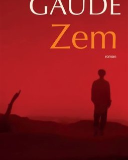 Zem - Laurent Gaudé