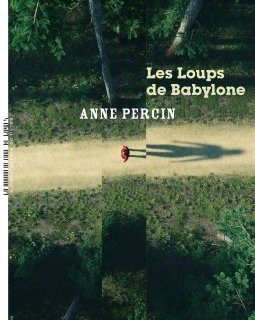 Anne Percin reçoit un prix pour son roman Les loups de Babylone.