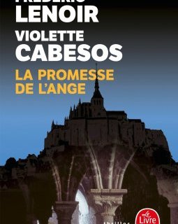 La promesse de l'ange - Frédéric Lenoir - Violette Cabesos