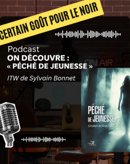 Aujourd'hui on vous présente Péché de jeunesse de Sylvain Bonnet, un polar qui décoiffe ! 