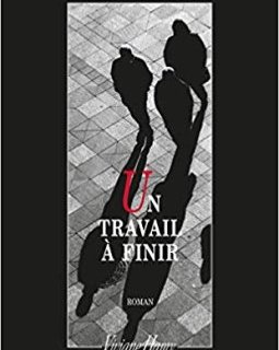 Un travail à finir - Eric Todenne