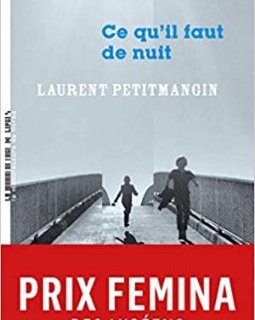 Ce qu'il faut de nuit - Laurent Petitmangin 