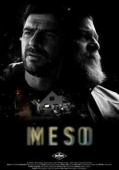 Meso - Sasa Hajdukovic