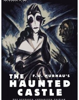 Schloss Vogelöd (La découverte d'un secret)