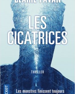 Les Cicatrices - Claire Favan