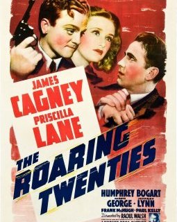 Les fantastiques années 20 - Raoul Walsh