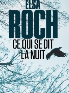 3 bonnes raisons de lire Ce qui se dit la nuit d'Elsa Roch