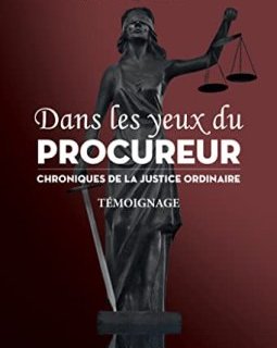 Dans Les Yeux Du Procureur, Chronique de la Justice ordinaire - Jeanne Quilfen