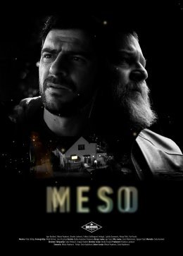 Meso - Sasa Hajdukovic