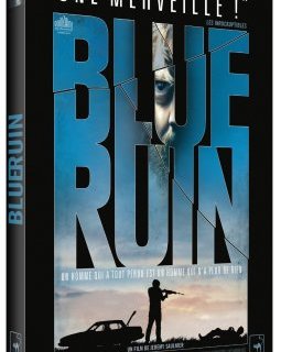 Blue Ruin